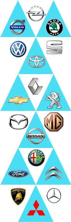 Arlington Emergency Locksmiths, Arlington, VA 703-663-7402 - sb-auto-brands-01